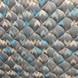 Fabric SC12